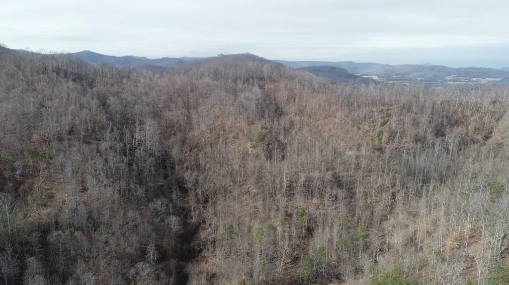 554 Sukey Hollow Road Williamsburg KY 40769
