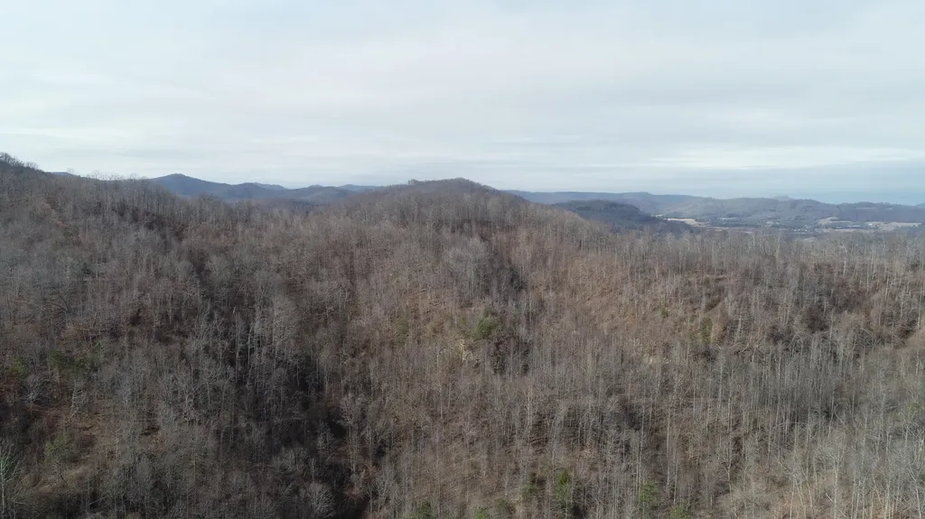 554 Sukey Hollow Road Williamsburg KY 40769
