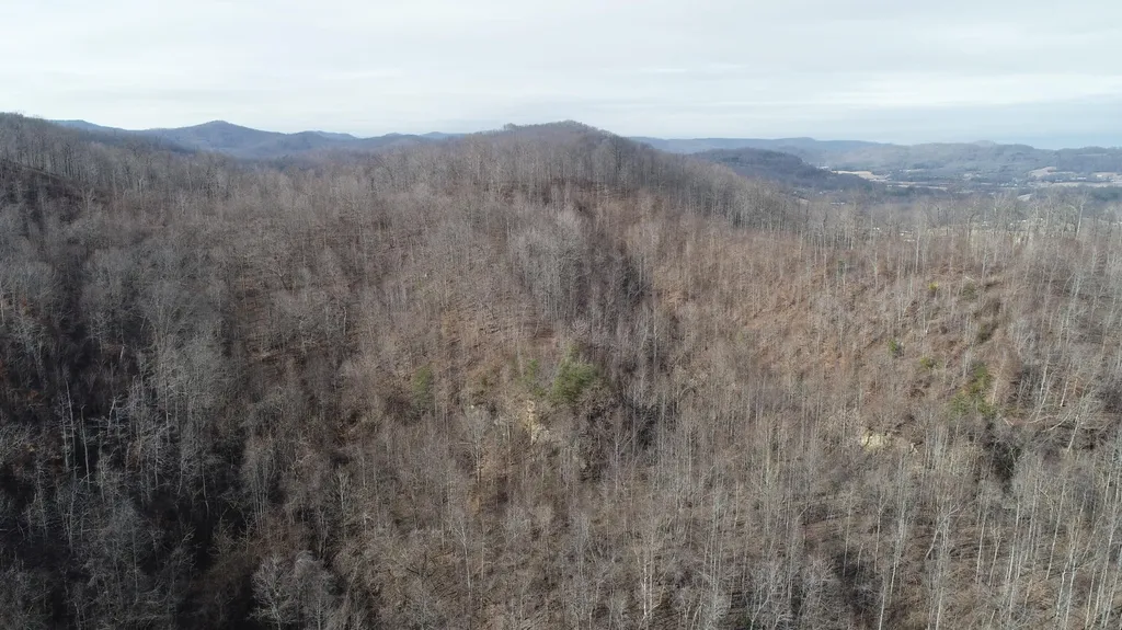554 Sukey Hollow Road Williamsburg KY 40769