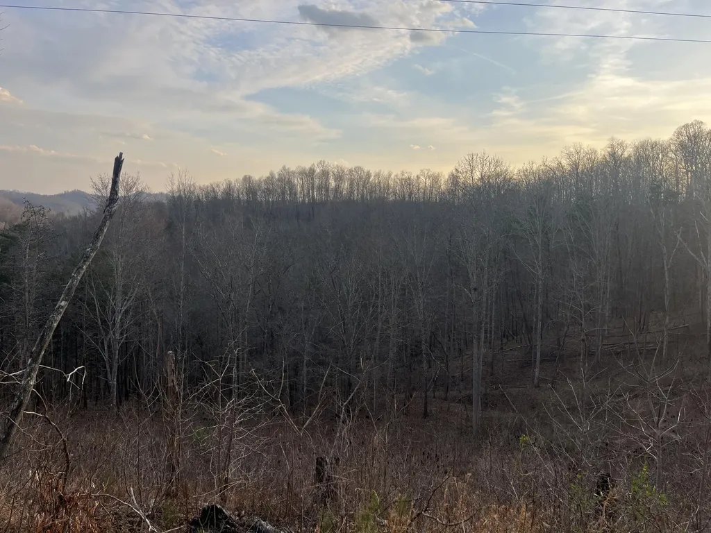 617 Walk Log Branch Road Beattyville KY 41311