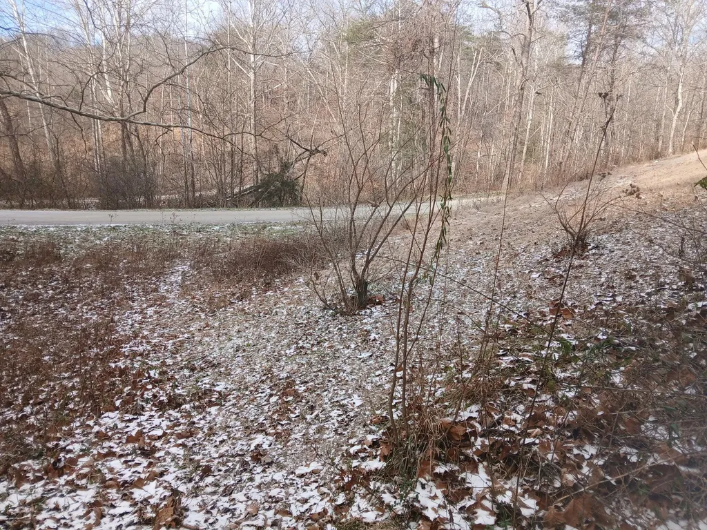 617 Walk Log Branch Road Beattyville KY 41311