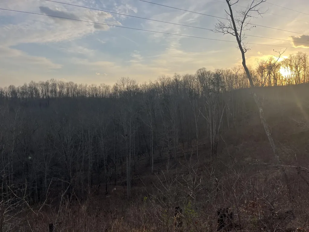 617 Walk Log Branch Road Beattyville KY 41311