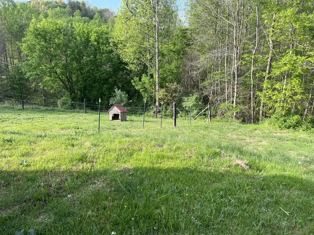 617 Walk Log Branch Road Beattyville KY 41311