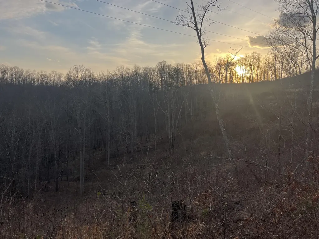 617 Walk Log Branch Road Beattyville KY 41311