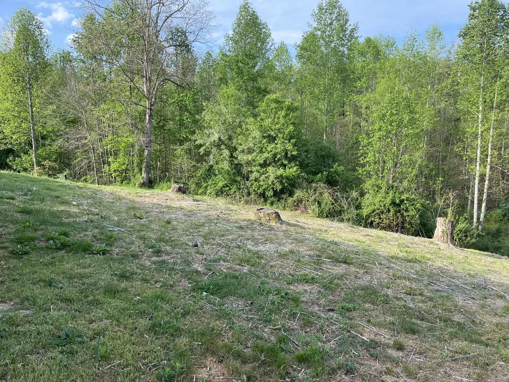 617 Walk Log Branch Road Beattyville KY 41311