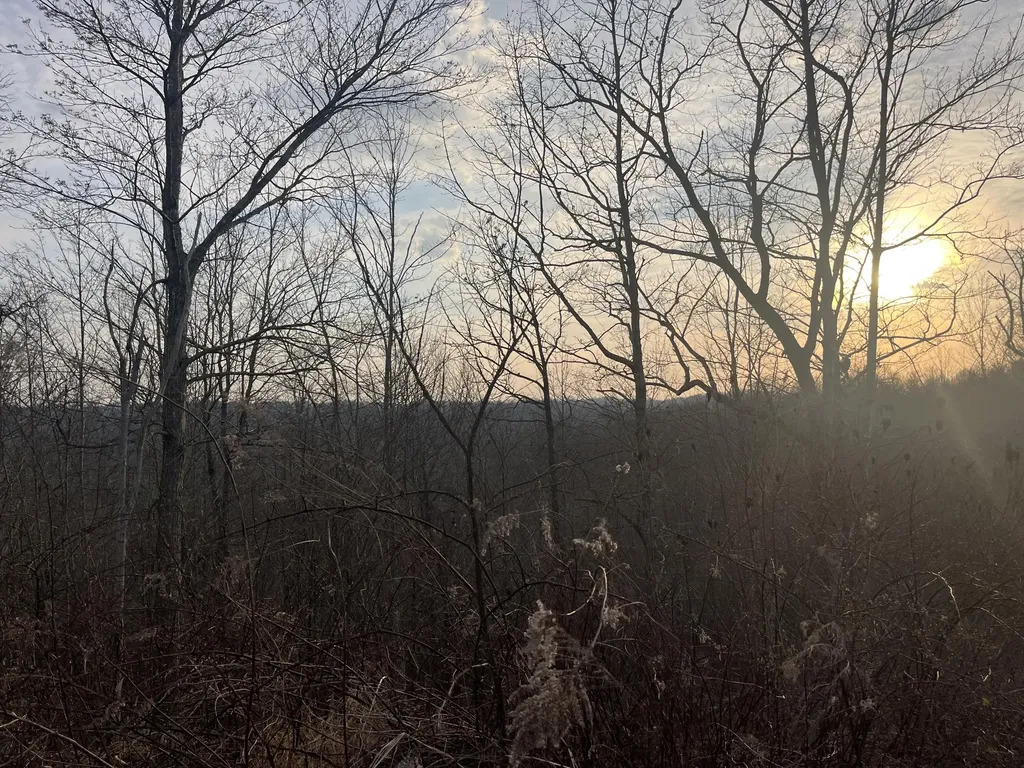 617 Walk Log Branch Road Beattyville KY 41311