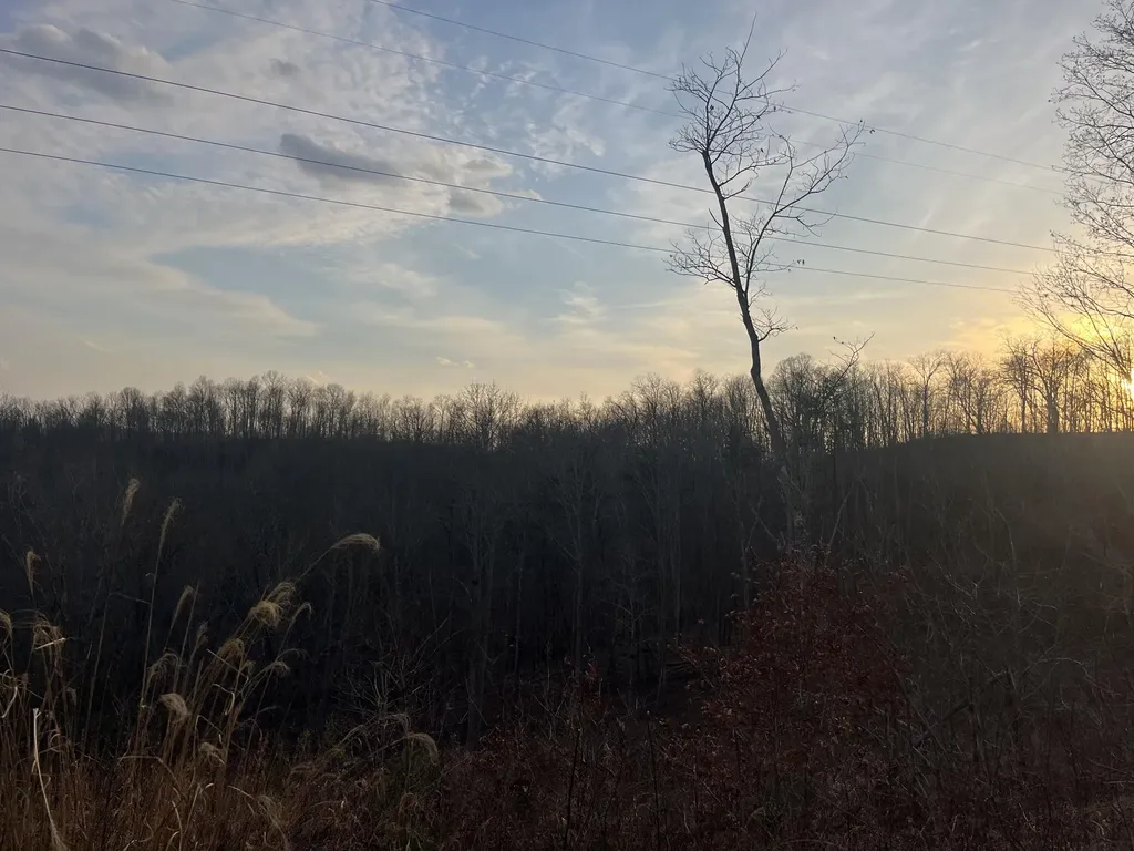 617 Walk Log Branch Road Beattyville KY 41311