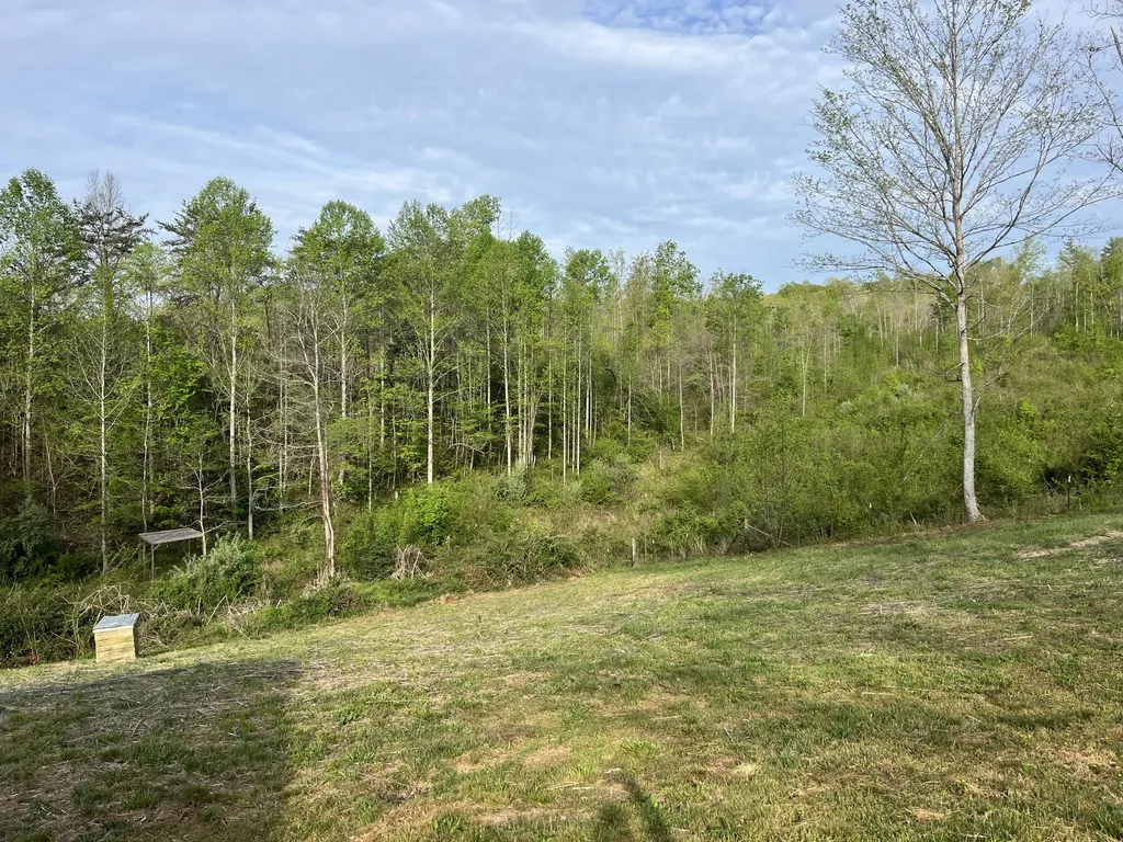 617 Walk Log Branch Road Beattyville KY 41311