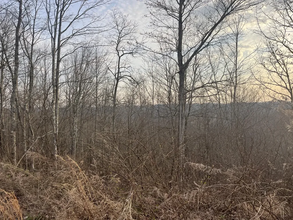 617 Walk Log Branch Road Beattyville KY 41311