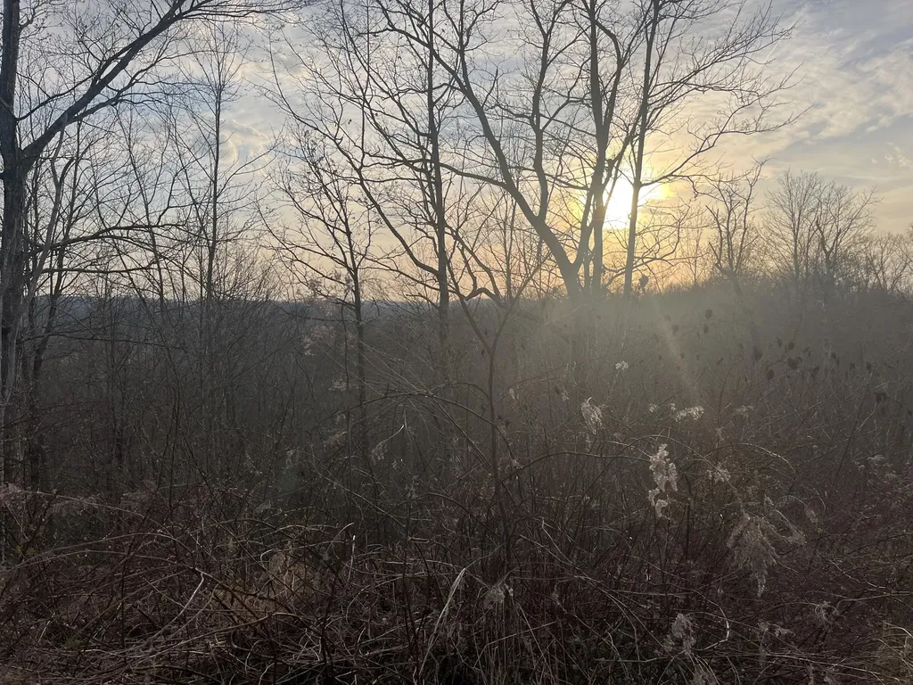 617 Walk Log Branch Road Beattyville KY 41311