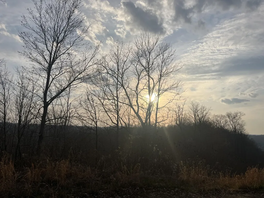 617 Walk Log Branch Road Beattyville KY 41311