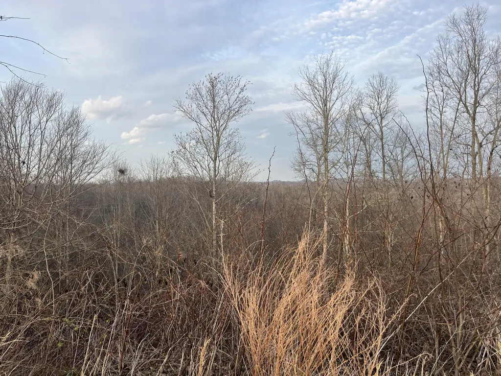 617 Walk Log Branch Road Beattyville KY 41311
