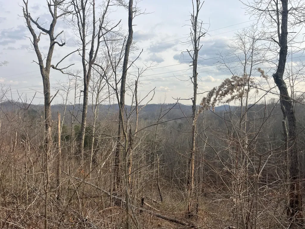 617 Walk Log Branch Road Beattyville KY 41311