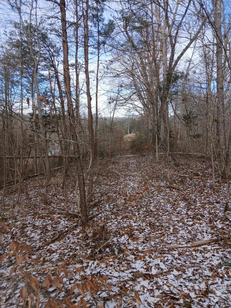 617 Walk Log Branch Road Beattyville KY 41311