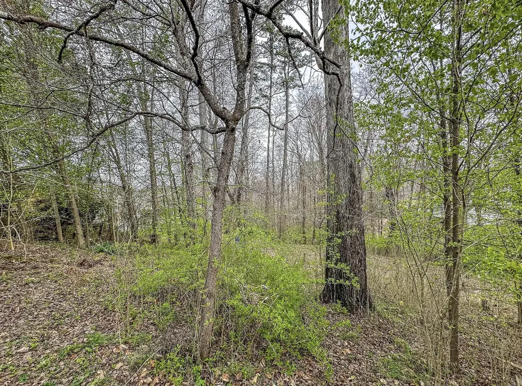 174 Derby Trail Corbin KY 40701