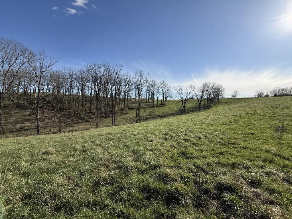 973 Levy Road Paris KY 40361