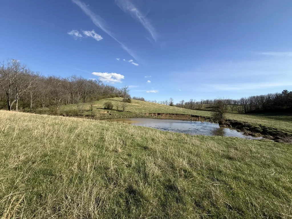 973 Levy Road Paris KY 40361