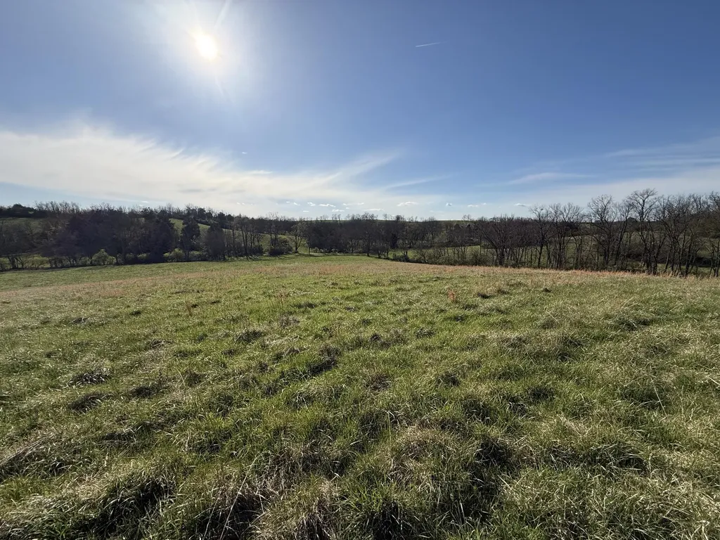 973 Levy Road Paris KY 40361