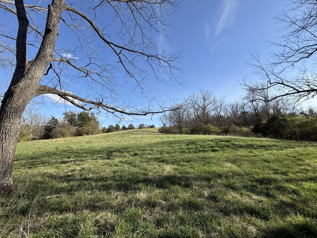973 Levy Road Paris KY 40361