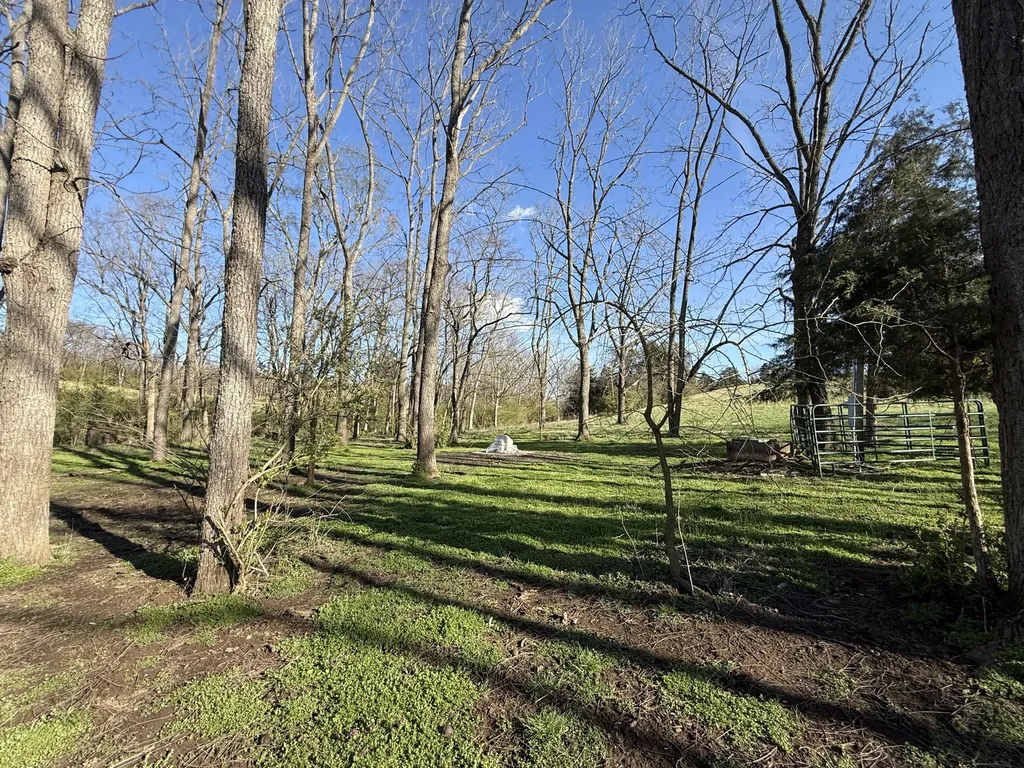 973 Levy Road Paris KY 40361