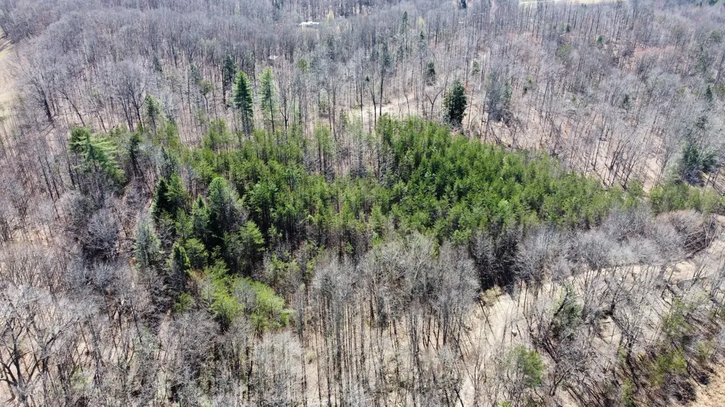 Lot #15 Hopewell Hawks Point Road Beattyville KY 41311