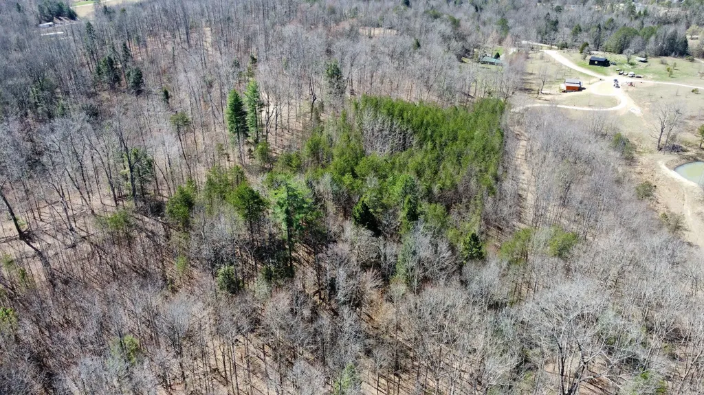 Lot #15 Hopewell Hawks Point Road Beattyville KY 41311