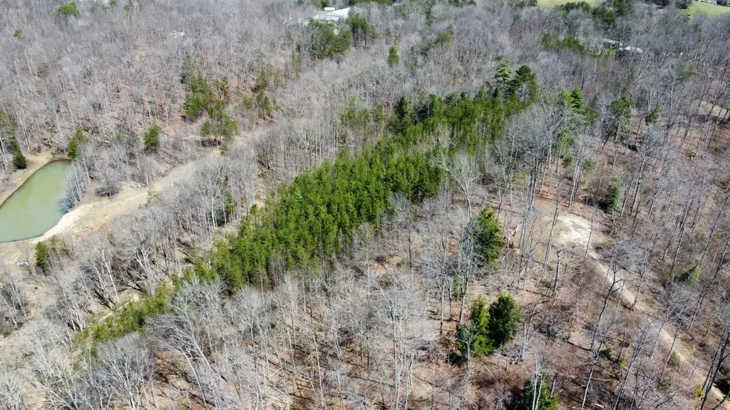 Lot #15 Hopewell Hawks Point Road Beattyville KY 41311
