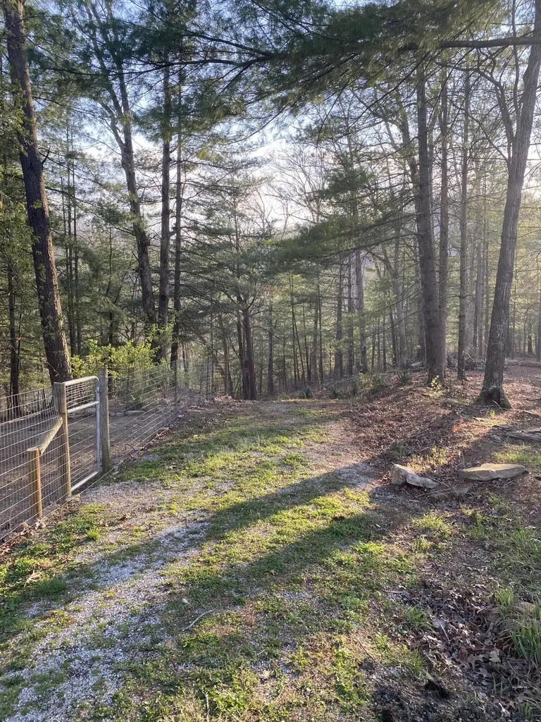 11598 Red Lick Road Irvine KY 40336