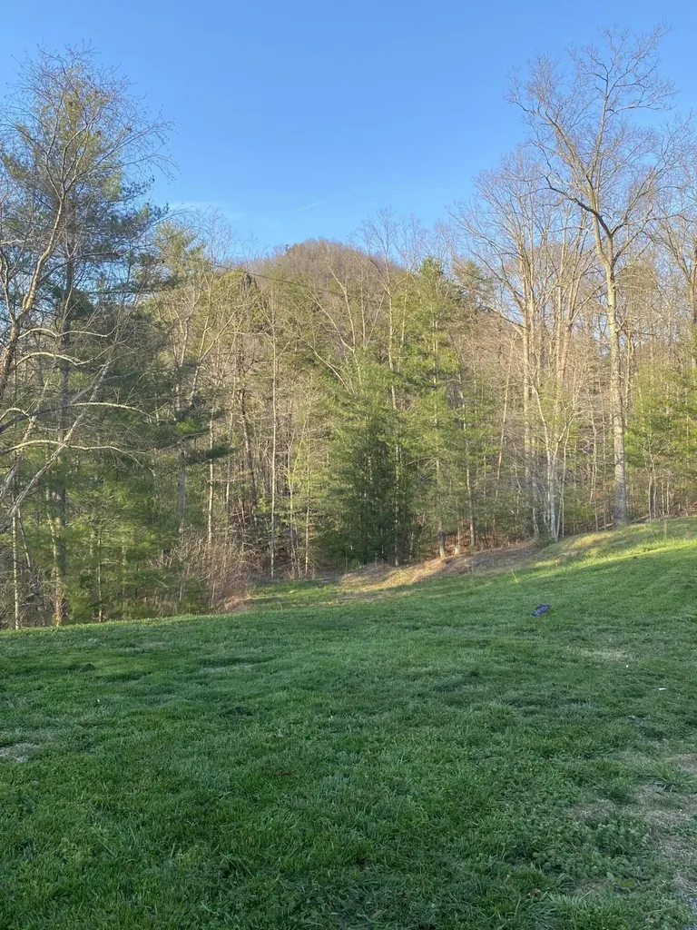 11598 Red Lick Road Irvine KY 40336