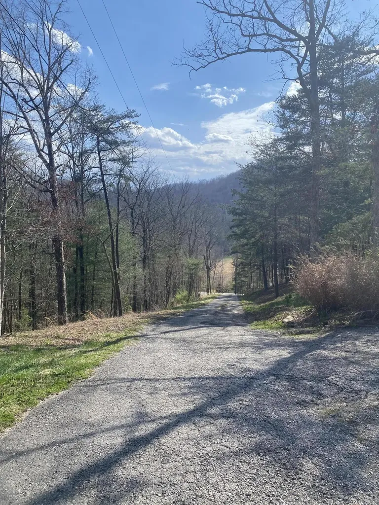 11598 Red Lick Road Irvine KY 40336