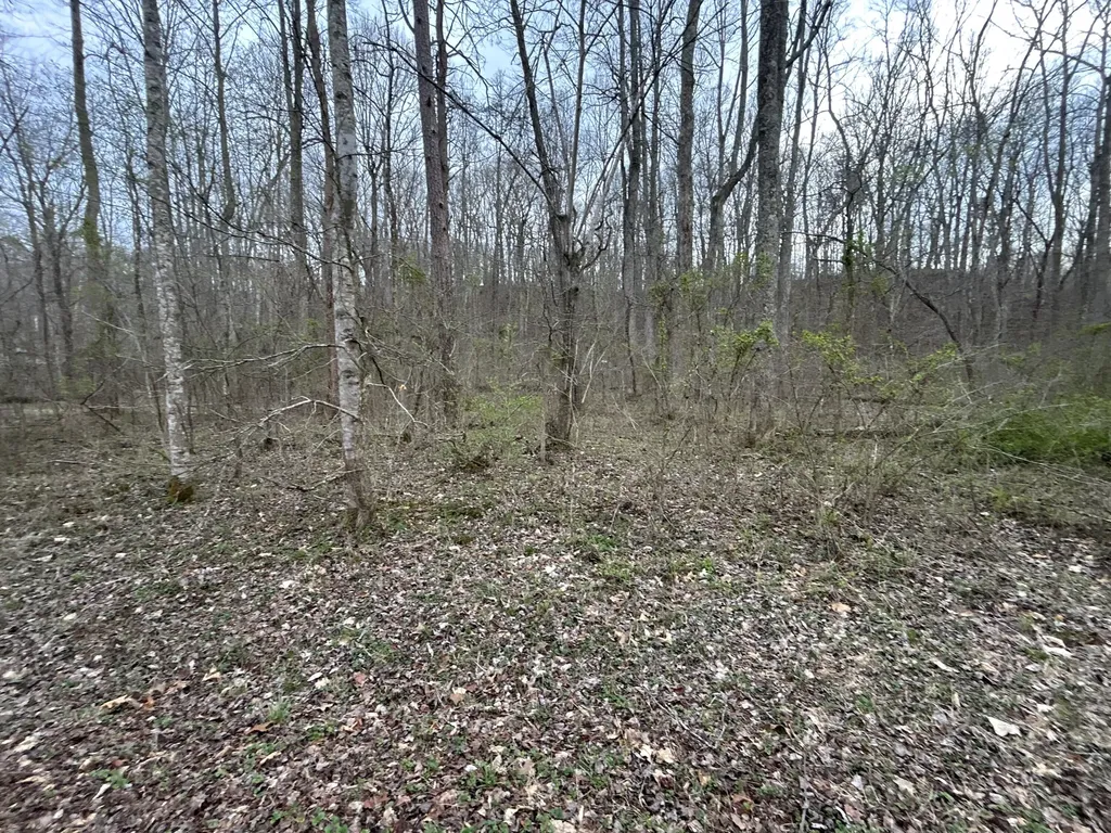 70 Millstone Road Clay City KY 40312