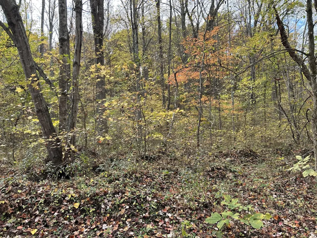 70 Millstone Road Clay City KY 40312