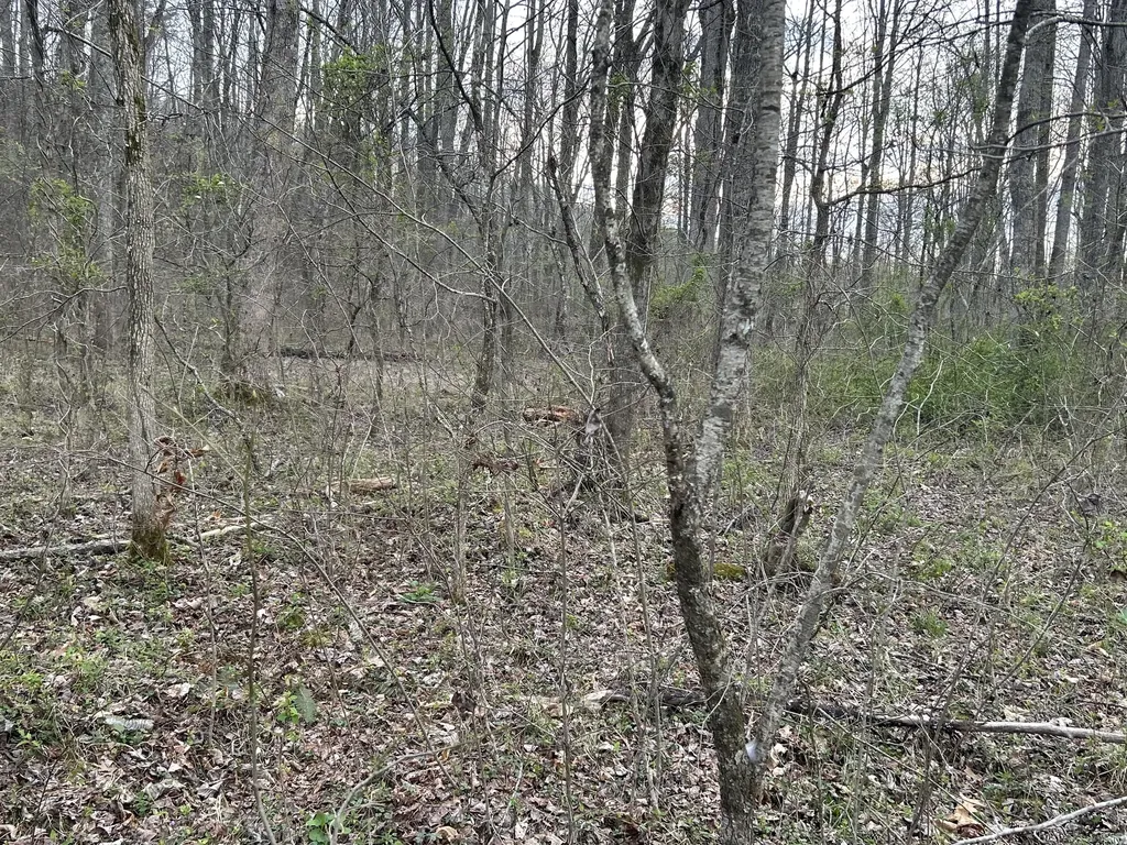 70 Millstone Road Clay City KY 40312