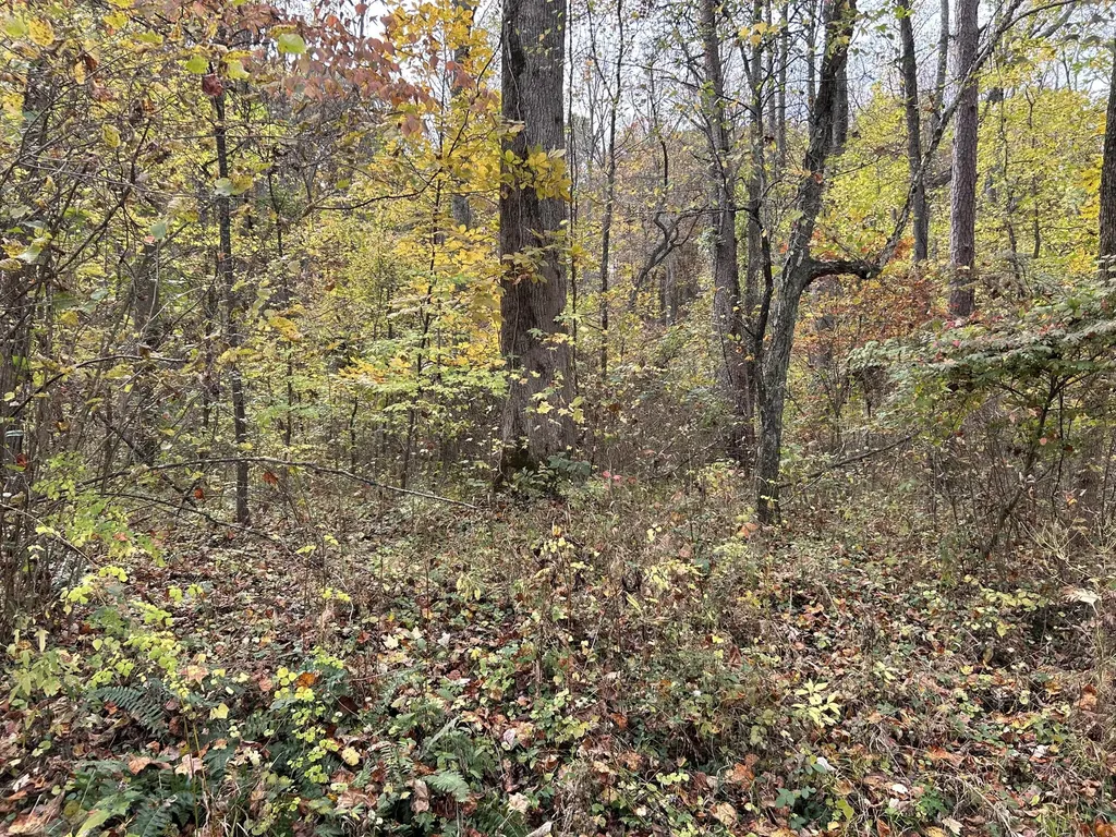 70 Millstone Road Clay City KY 40312