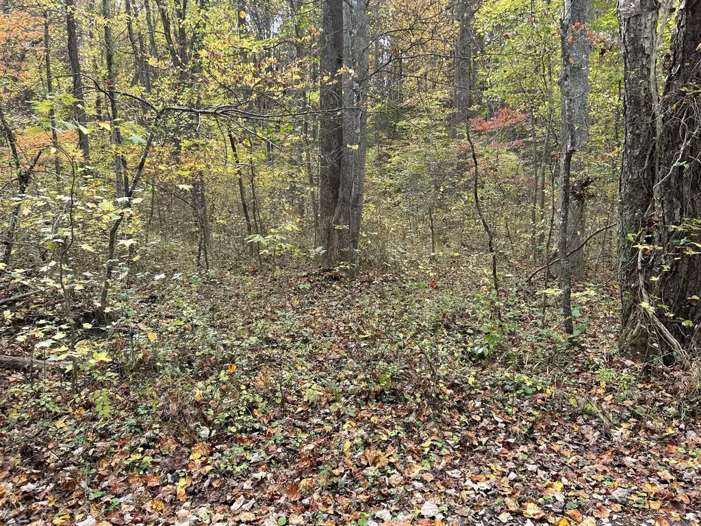 70 Millstone Road Clay City KY 40312