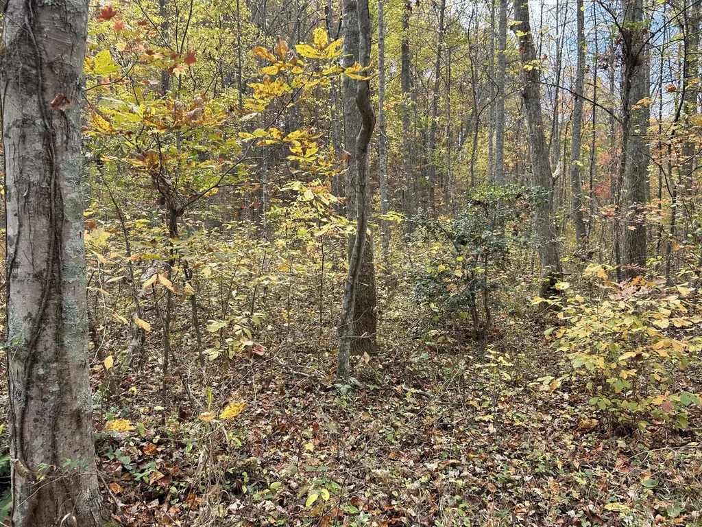 70 Millstone Road Clay City KY 40312