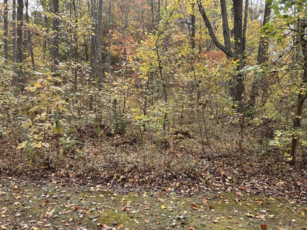 70 Millstone Road Clay City KY 40312