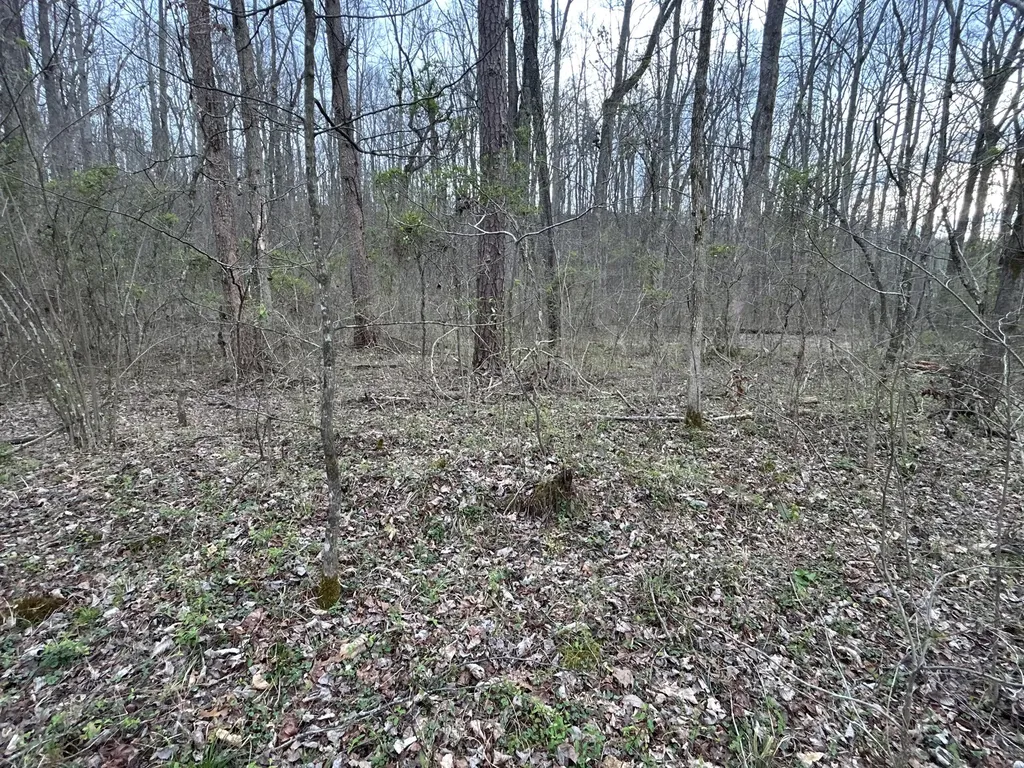 70 Millstone Road Clay City KY 40312