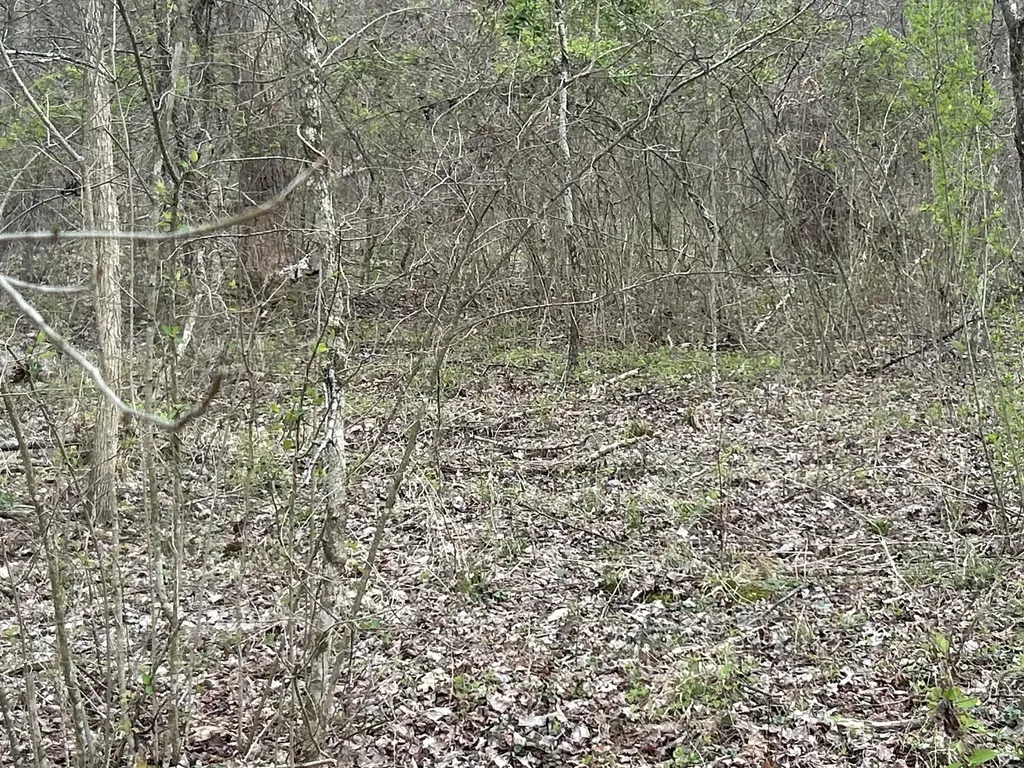 70 Millstone Road Clay City KY 40312