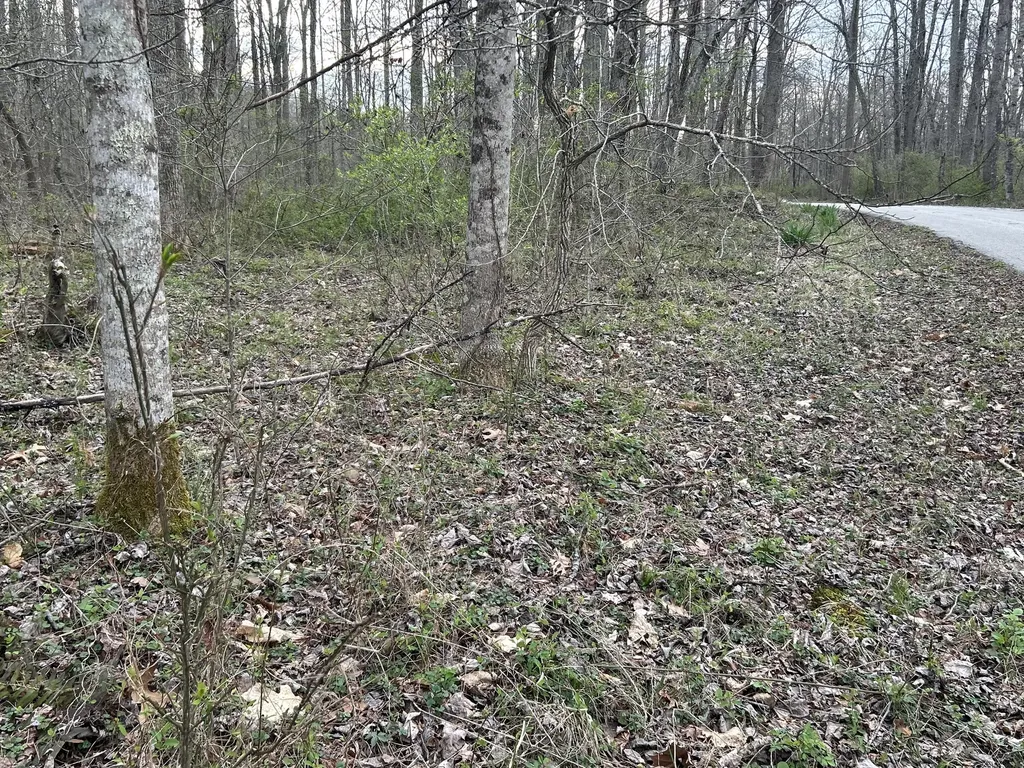 70 Millstone Road Clay City KY 40312