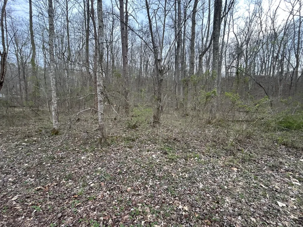 70 Millstone Road Clay City KY 40312