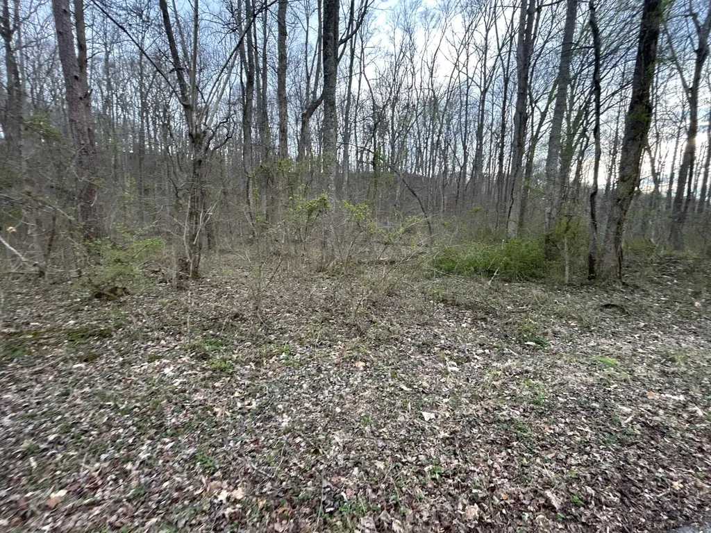 70 Millstone Road Clay City KY 40312