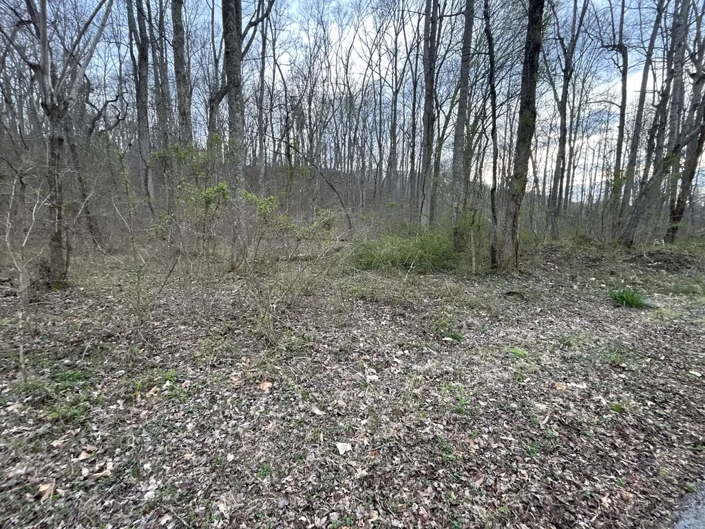 70 Millstone Road Clay City KY 40312