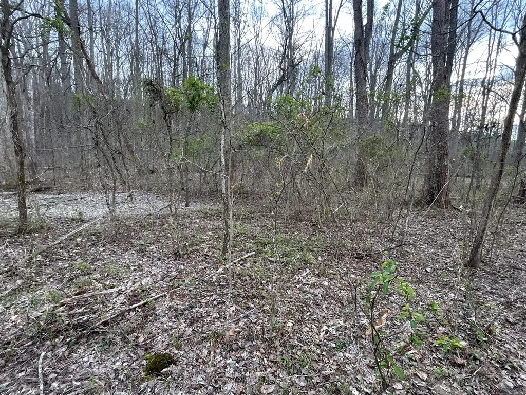 70 Millstone Road Clay City KY 40312