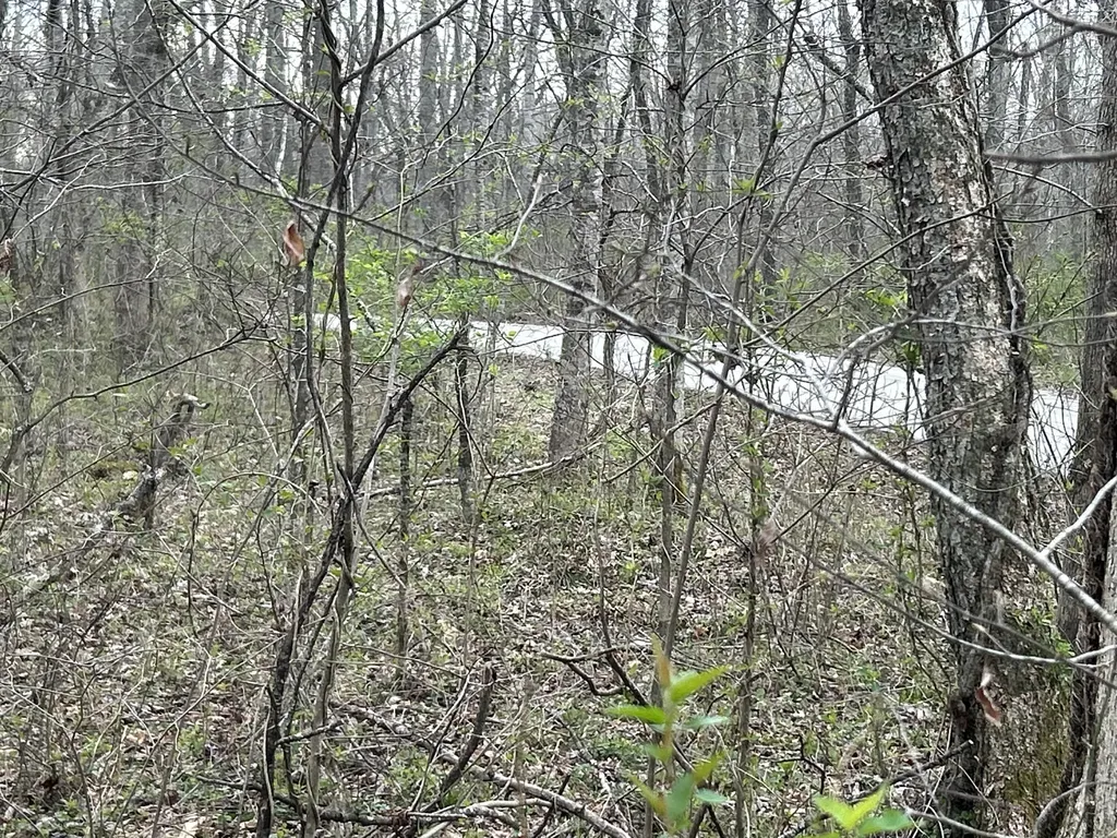70 Millstone Road Clay City KY 40312