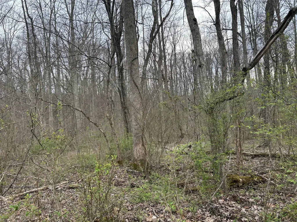 70 Millstone Road Clay City KY 40312