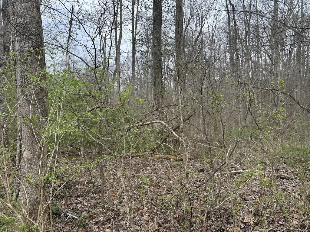 70 Millstone Road Clay City KY 40312