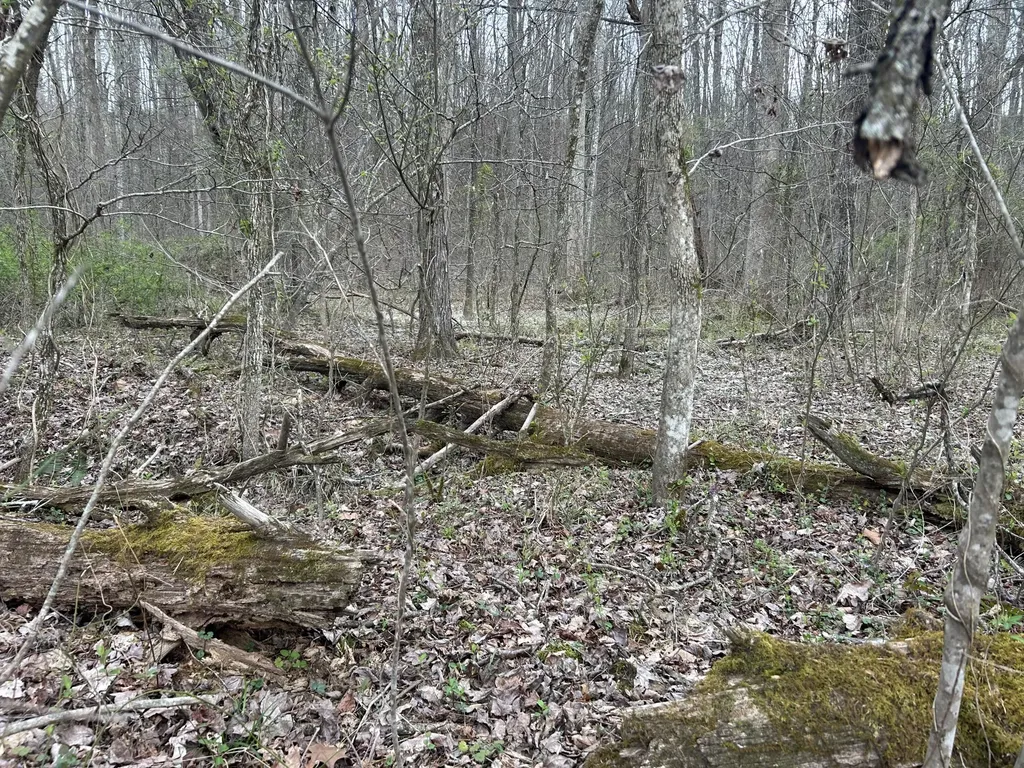 70 Millstone Road Clay City KY 40312