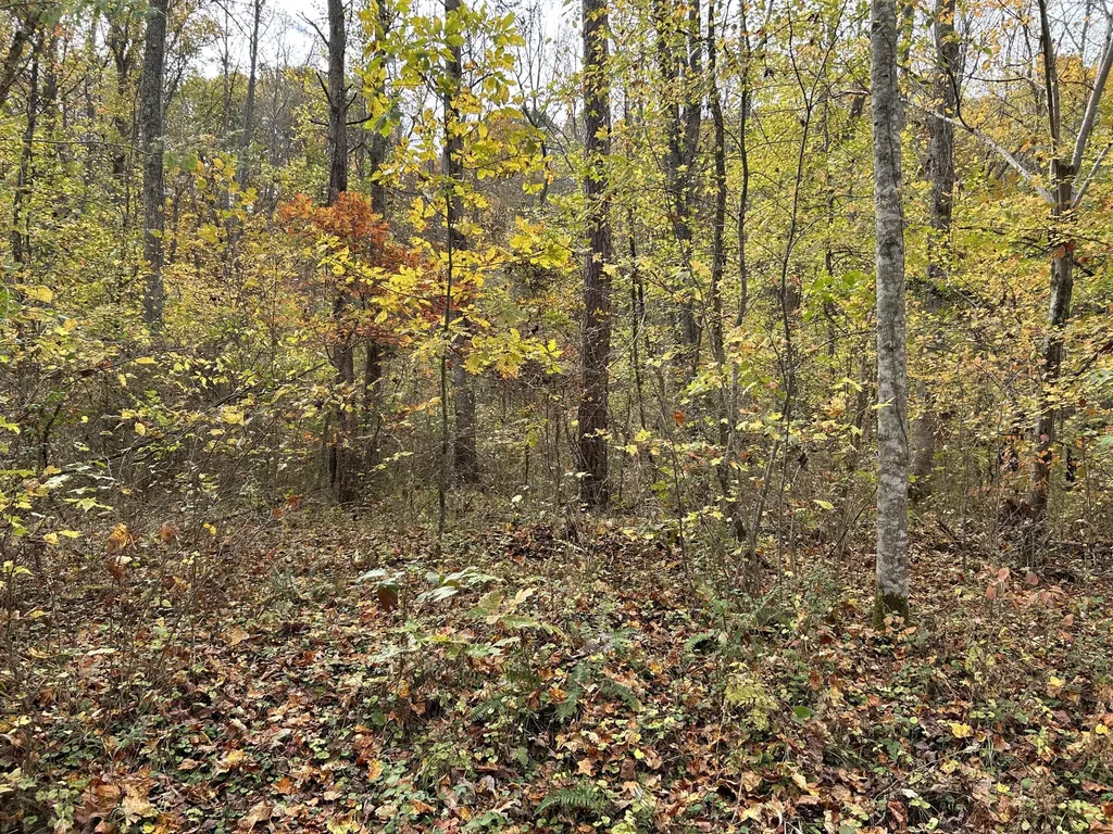 70 Millstone Road Clay City KY 40312