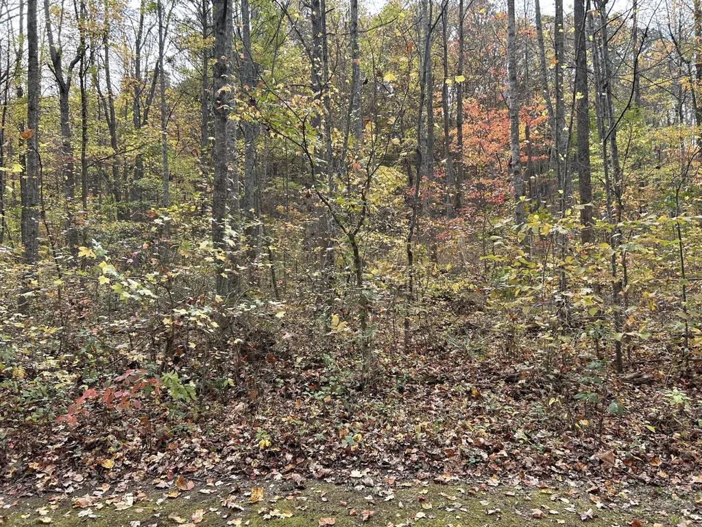 70 Millstone Road Clay City KY 40312